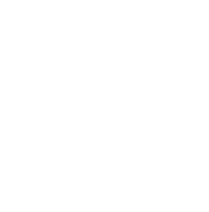 Digistore